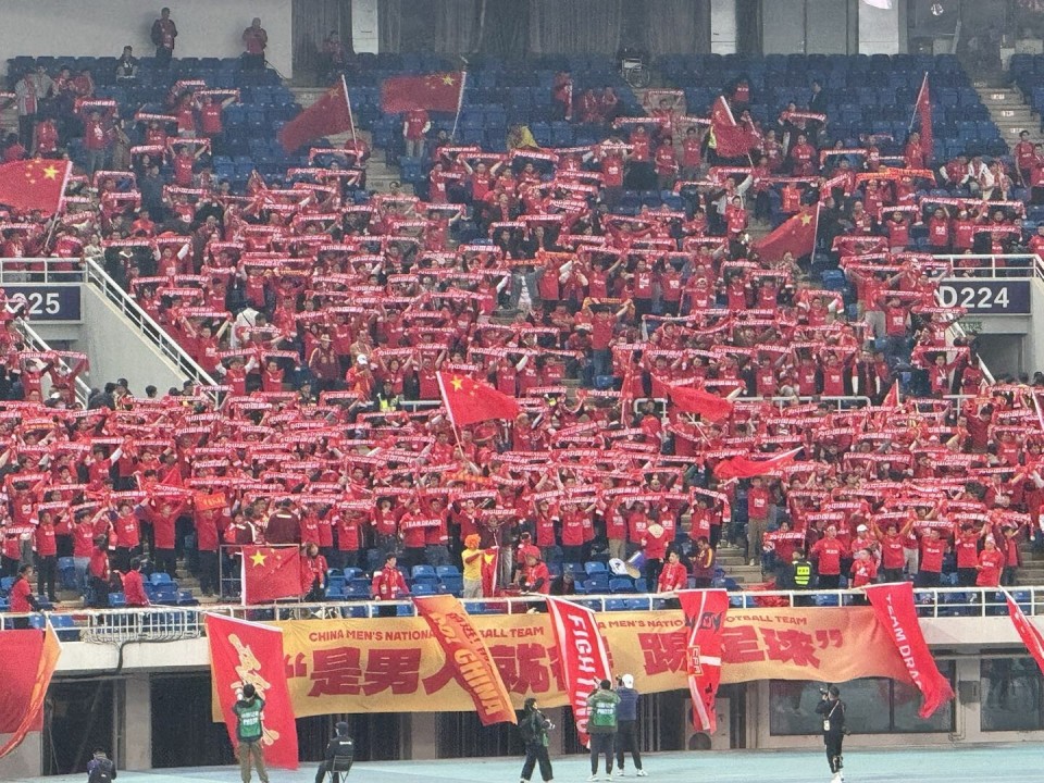 爱游戏平台-泰达队球迷助威声势浩大,助力球队取胜的是谁